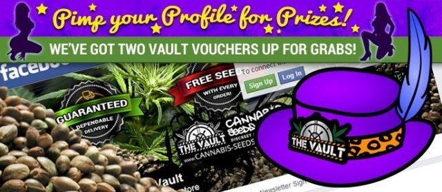 Buy Cannabis Seeds from The Vault Cannabis Seeds Store - UK