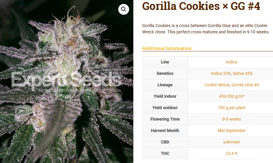 Expert Seeds Promo Social Media Compo | Cannabis Seeds Store