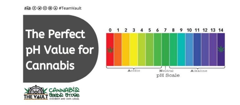 The Perfect pH Value For Cannabis