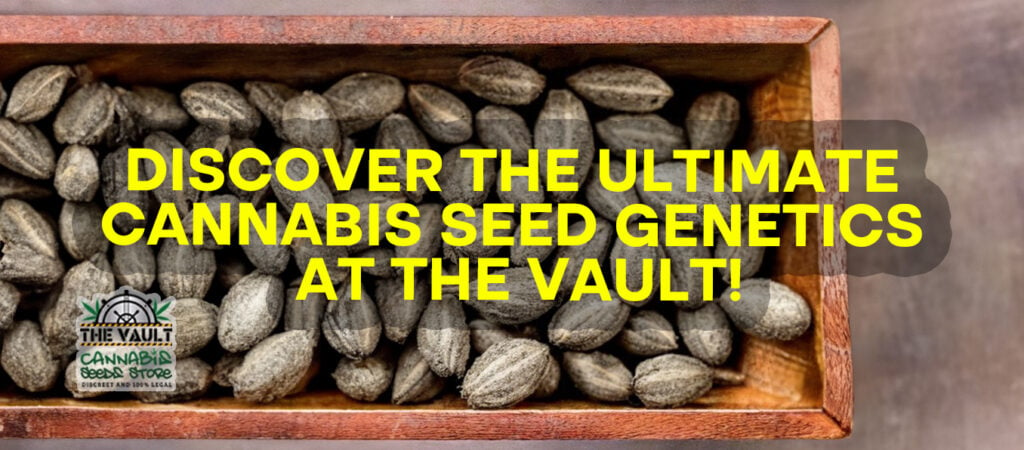 Cannabis Seeds News