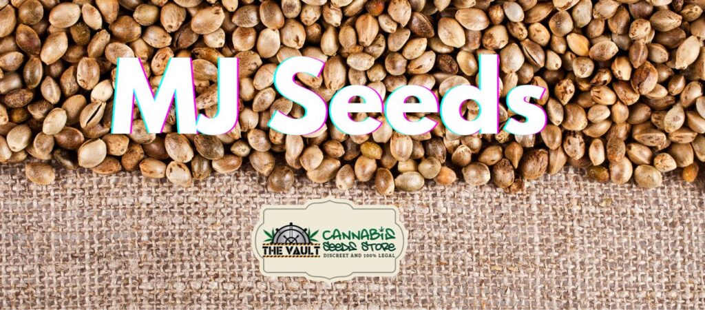 MJ Seeds