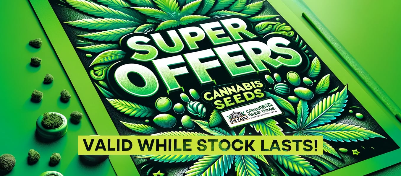 Cannabis Seeds Special Offers
