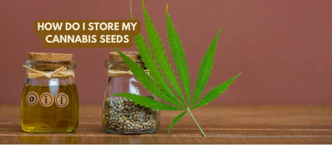 How do I store my Cannabis Seeds?