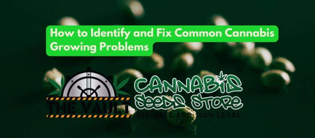 How to Identify and Fix Common Cannabis Growing Problems