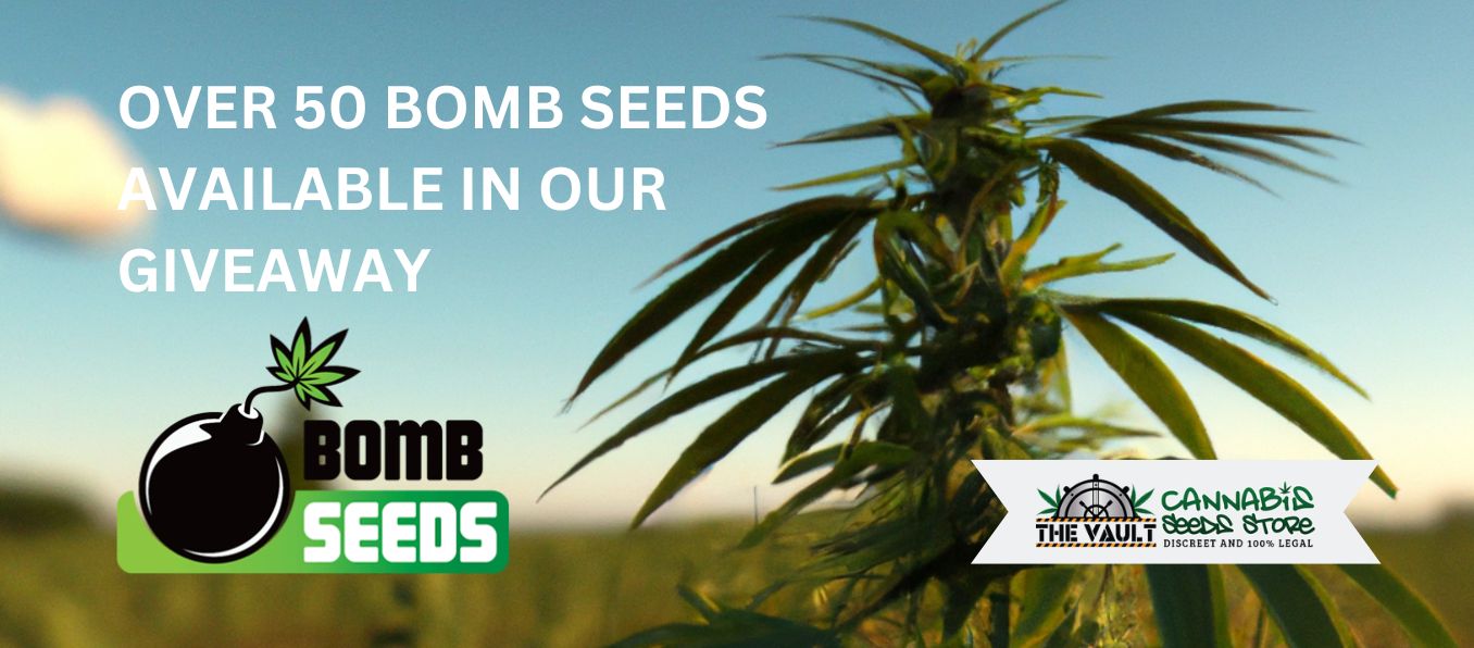 OVER-50-BOMB-SEEDS-AVAILABLE-IN-OUR-GIVEAWAY.jpg