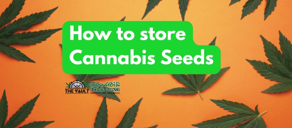 How to store cannabis seeds