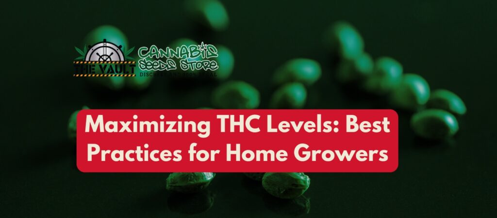 Maximizing THC Levels Best Practices for Home Growers