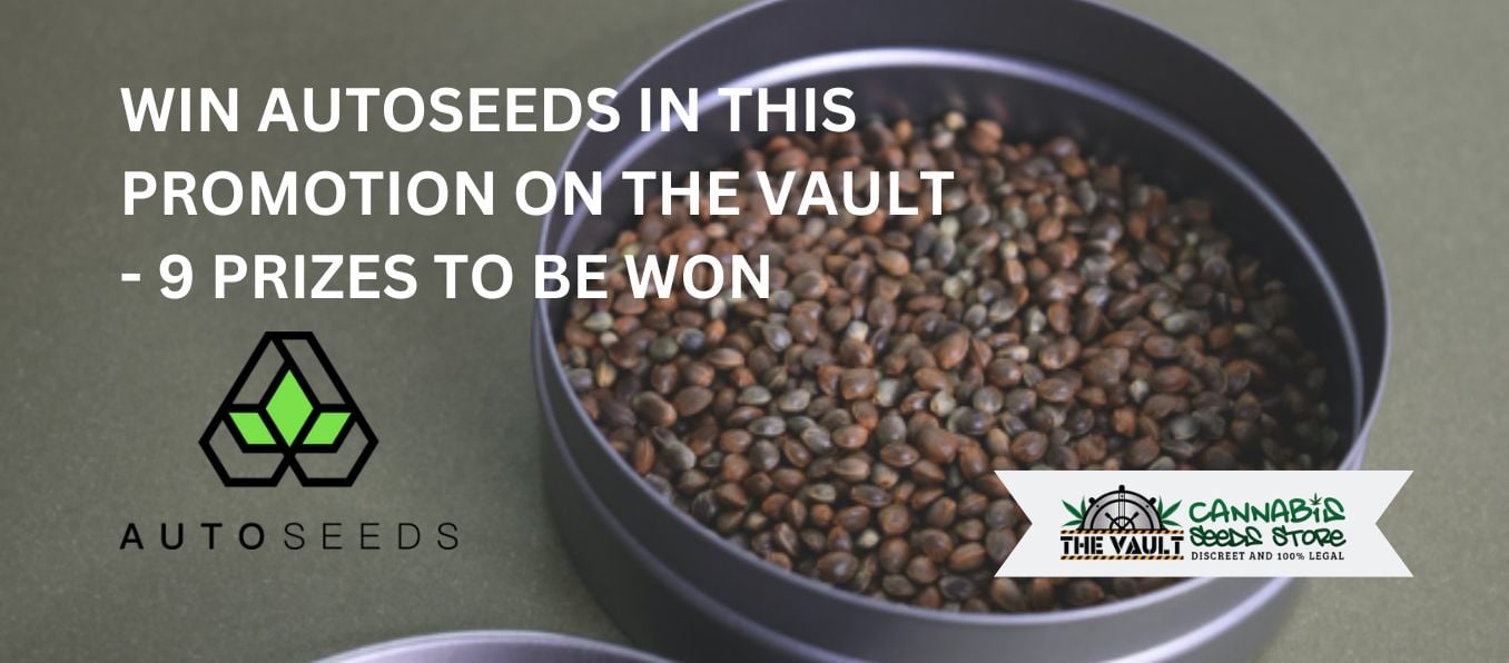 WIN-AUTOSEEDS-ON-THE-VAULT.jpg