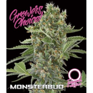Monsterbud  Auto  Flowering  Cannabis  Seeds
